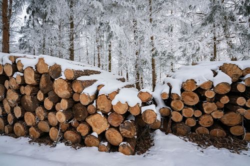 Holzstapel im Schnee