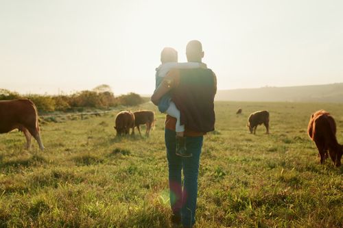  Mädchen und Vater spazieren über ein Feld