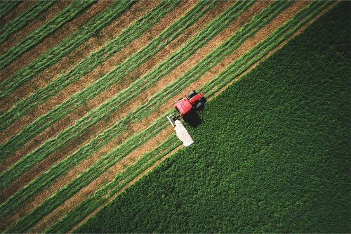 Traktor mäht grünes Feld